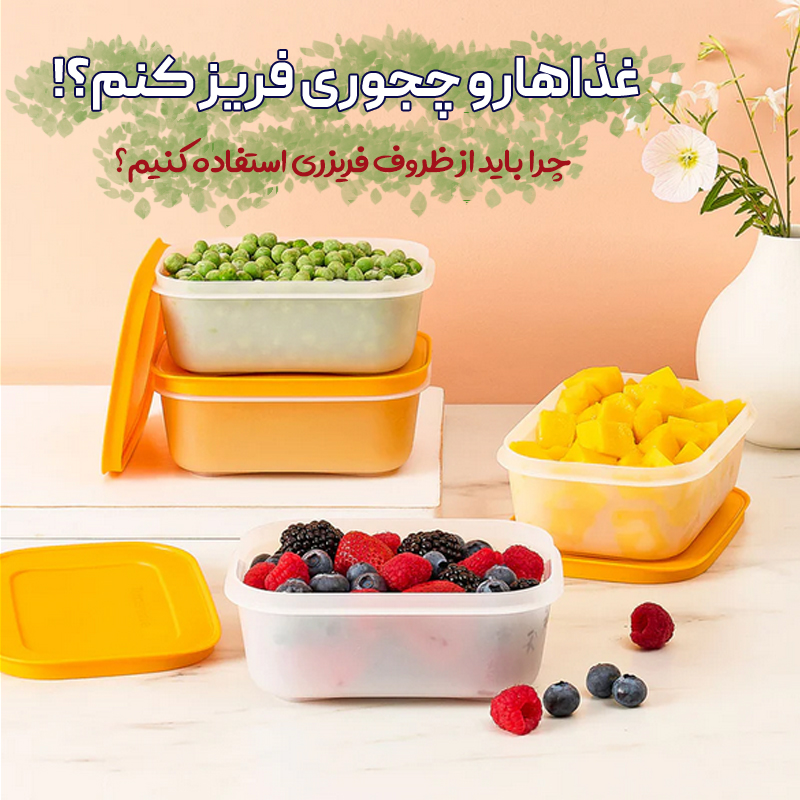 ظروف فریزری