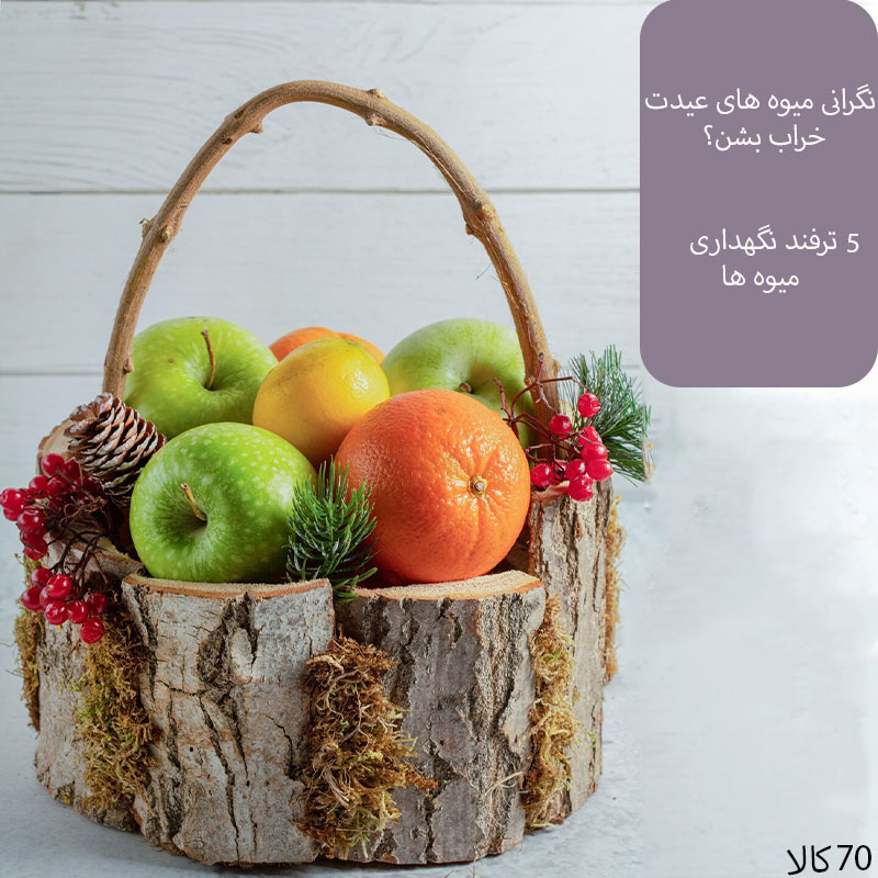 ترفند نگهداری میوه ها