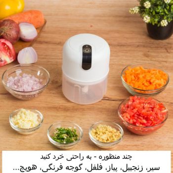 مینی خورد کن شارژی PS69