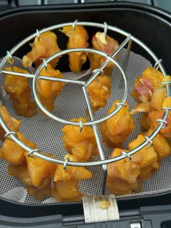 کباب پز استیل سرخکن و فر P24