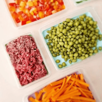 ظرف گوشت کف سیلیکونی فریزری W312