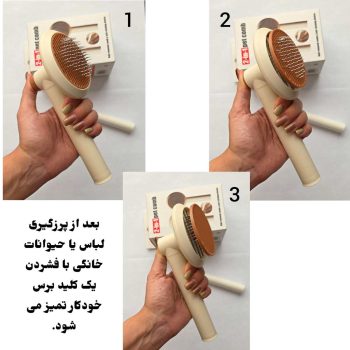 پرزگیر اتوماتیک دوکاره 2v