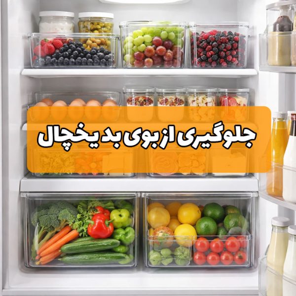 چگونه از بو گرفتن و شلوغی یخچال جلوگیری کنیم