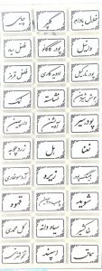 برچسب ادویه حبوبات و ظروف فریزری پا سماوری B3321