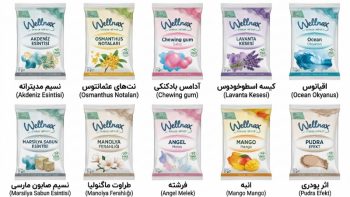 خوشبو کننده کیسه‌ای ورمیکولیت ولناکس (Wellnax)