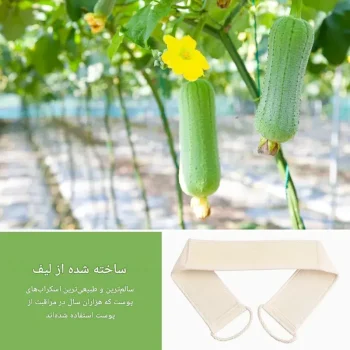 لیف دو طرفه بند دار با الیاف گیاهی A2