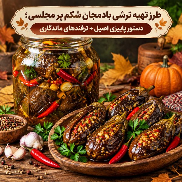 طرز تهیه ترشی بادمجان شکم پر مجلسی