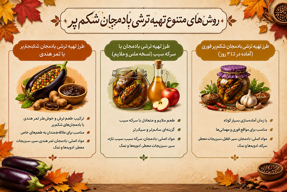 روش های متنوع تهیه ترشی بادمجان شکم پر