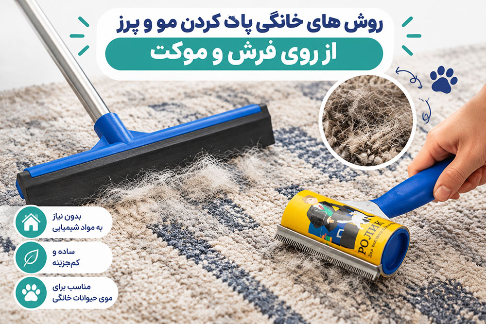 روش های خانگی پاک کردن مو و پرز از روی فرش و موکت